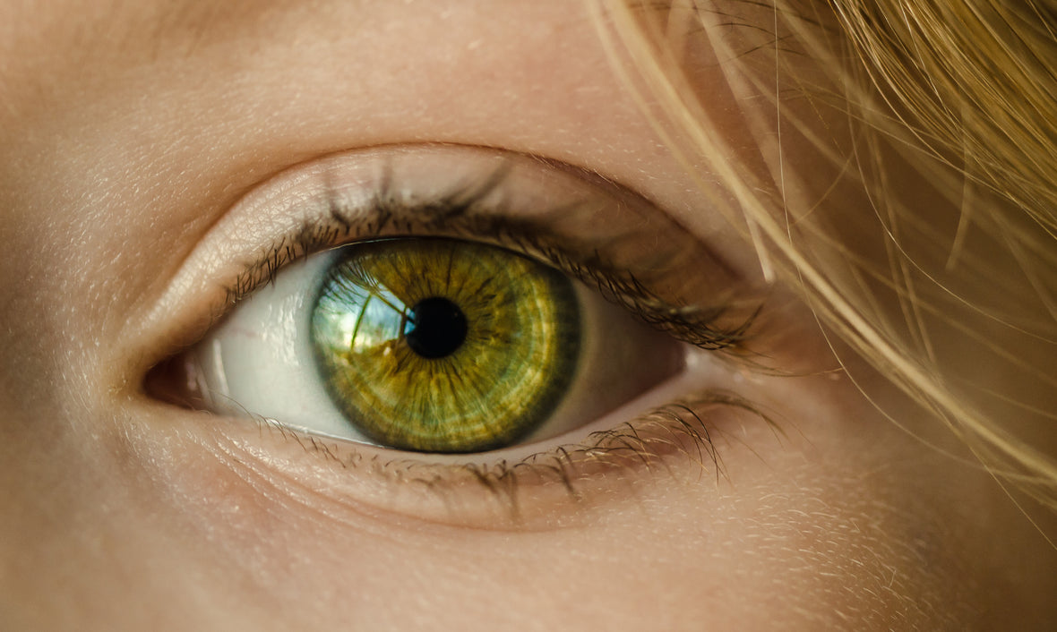Keeping an eye on healthy vision
