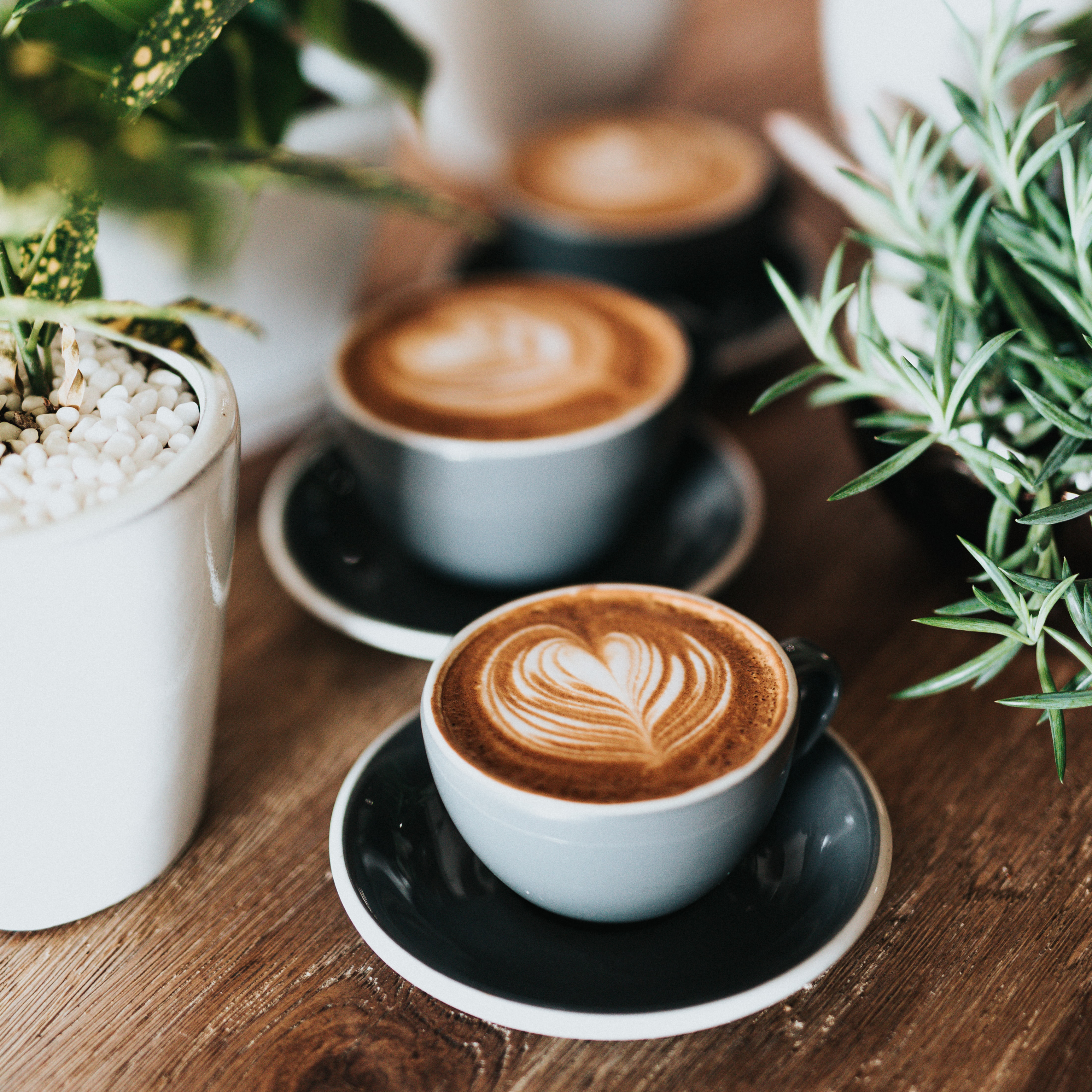 Coffee - expresso, cups, beans - ebambu.ca